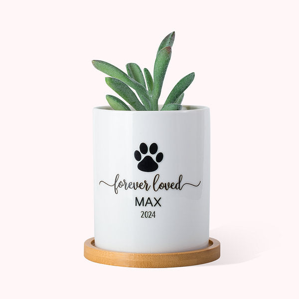 Personalized Pet Paw Memorial Ceramic Plant Pot with Wooden Base Pet Loss Sympathy Gift for Pet Lover