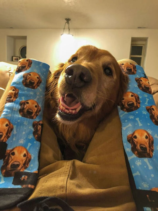 Customized Dog Socks - Put Your Cute Dog on Custom Socks